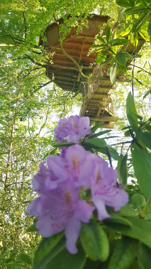 Le Domaine De Wail - Legends Resort Phòng bức ảnh